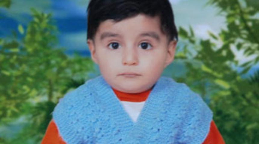 Baldıran otu can aldı