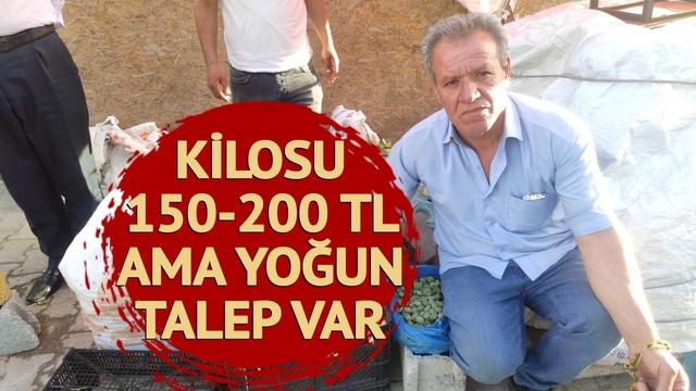 Gece 03.00'te toplamak için yola çıkıyorlar! Kilosunu 200 TL'den satıyorlar... Kapış kapış gidiyor 'Geçimimizi böyle sağlıyoruz'