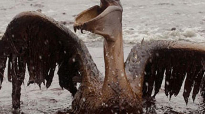 İki T&uuml;rk gencinden &ouml;nemli buluş