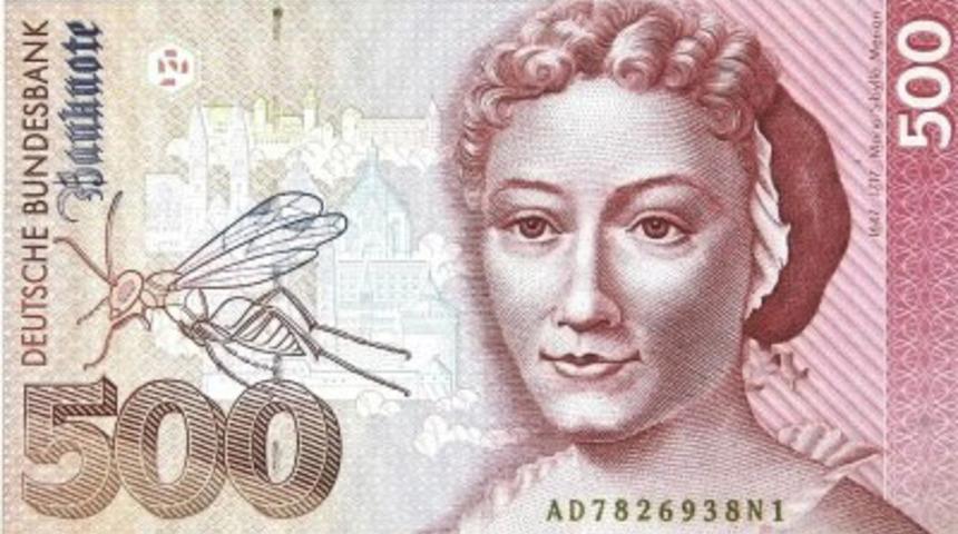 Maria Sibylla Merian hakkında bilmedikleriniz