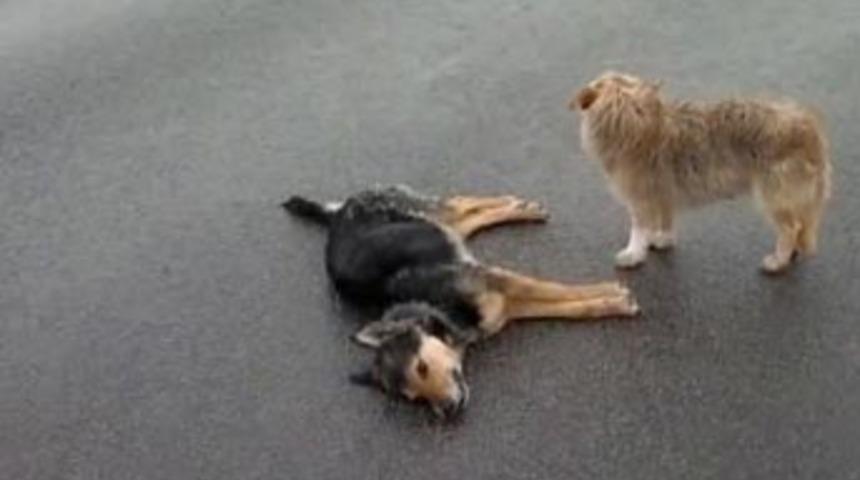 İnsanlara ders olsun