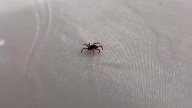 Korkutan artış: Yüzlerce kişiyi etkisi altına aldı! Ölümler bu yıl erken başladı! Özellikle o illerde büyük panik var…