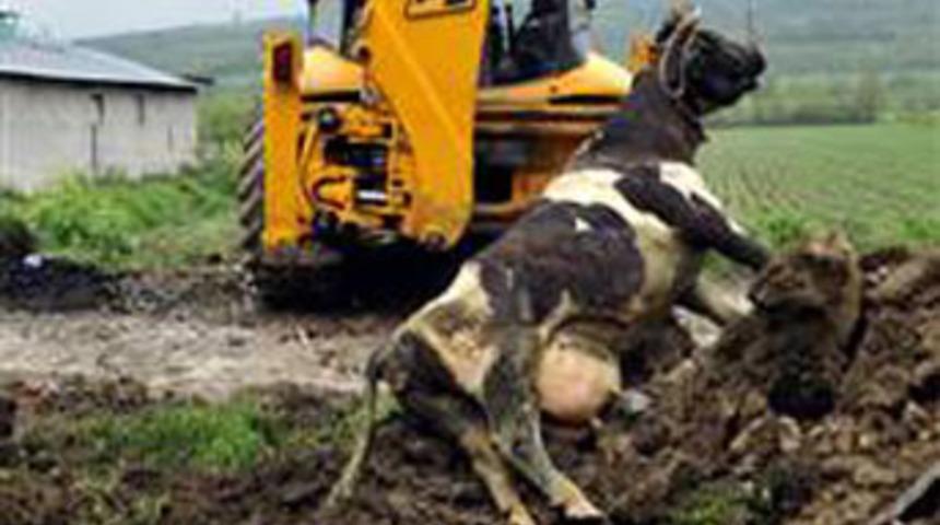 &Ouml;nce kurtardılar sonra kestiler