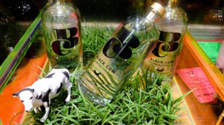 Saf inek s&uuml;t&uuml;nden votka &uuml;retti!