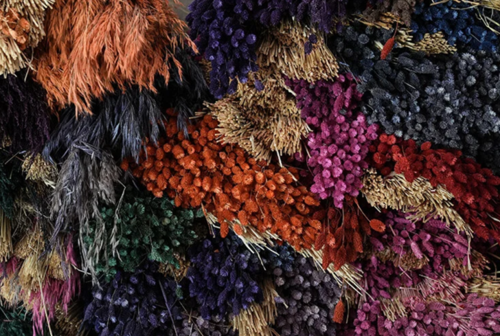 "ZAMAN İÇERİSİNDE HOLLANDA'NIN TEDARİK MERKEZİ HALİNE GELEBİLİRİZ"