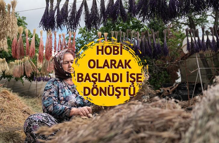 Bir mahallenin geçim kaynağı oldu! Dağlarda toplayıp yurt dışına satıyorlar... Yoğun talep görüyor