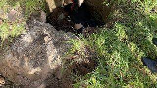 Su kuyusuna düşen koyun ve inek böyle kurtarıldı