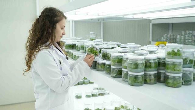 Teknopark, Niğde’nin teknoloji yolculuğuna yeni bir boyut kazandırıyor