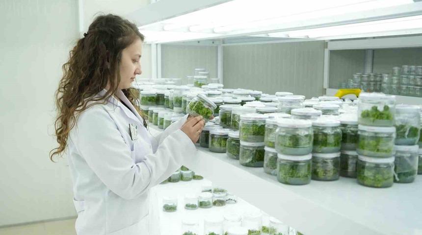 Teknopark, Niğde’nin teknoloji yolculuğuna yeni bir boyut kazandırıyor