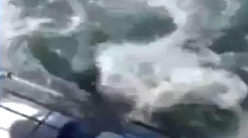 Balayında k&ouml;pekbalığı dehşeti!