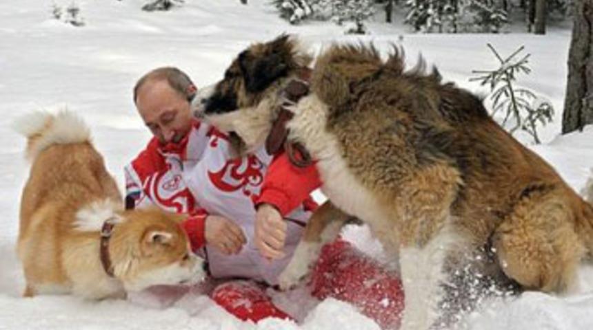 Putin sosyal medyayı salladı