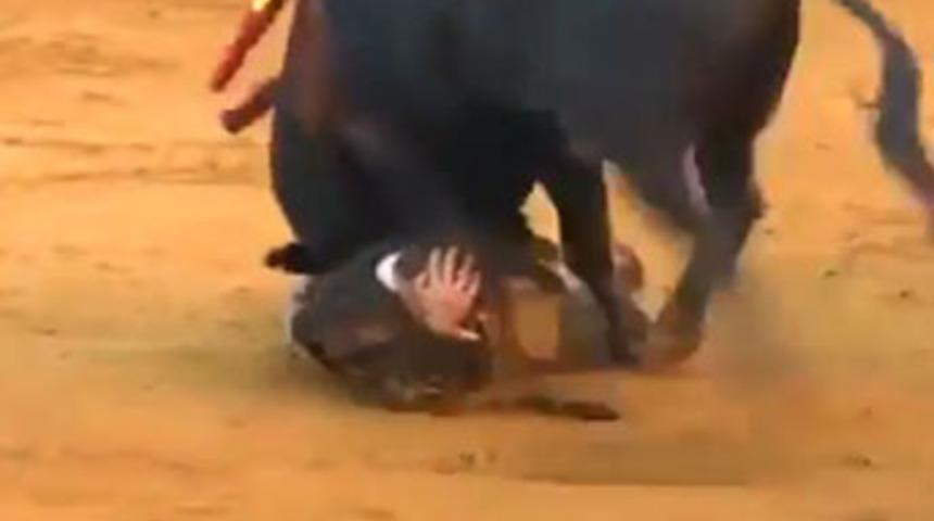 Kızgın boğanın gazabına uğradı