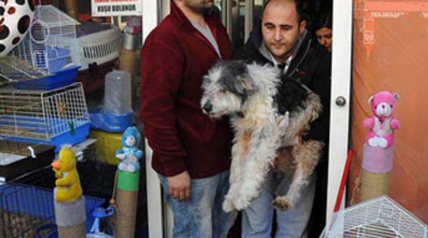 Pet-shoplarda hayvan satışı yasağı başladı