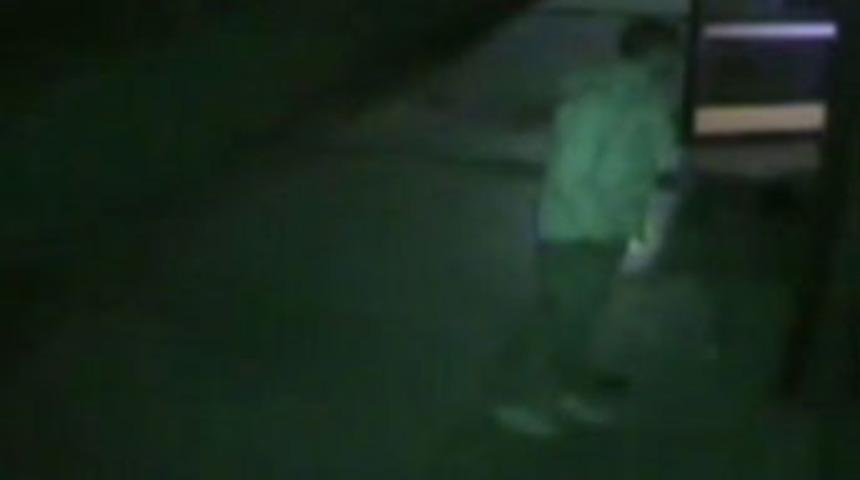 Titiz hırsız kamerada