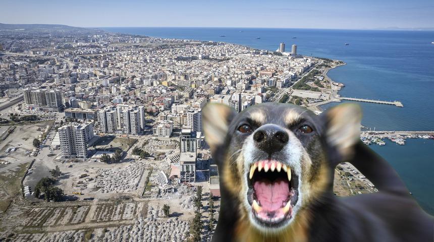 Kuduz alarmı: 2 mahalle karantinaya alındı! Giriş ve çıkışlar yasaklandı