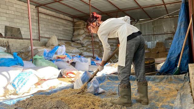 Liseyi bitirdi, hayatı değişti! Girişimcilikten hanım ağalığa... Her şey devlet desteğiyle başladı