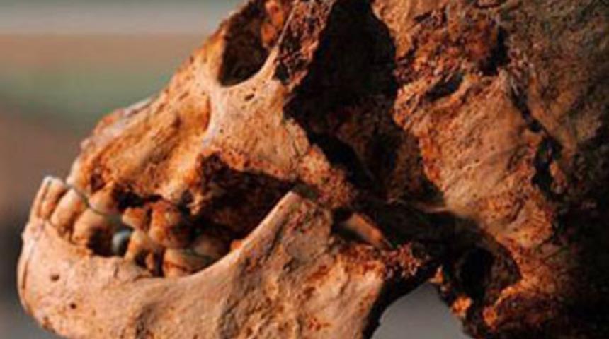 Ger&ccedil;ek 'Hobbit'lerin beyni sanılandan b&uuml;y&uuml;kt&uuml;