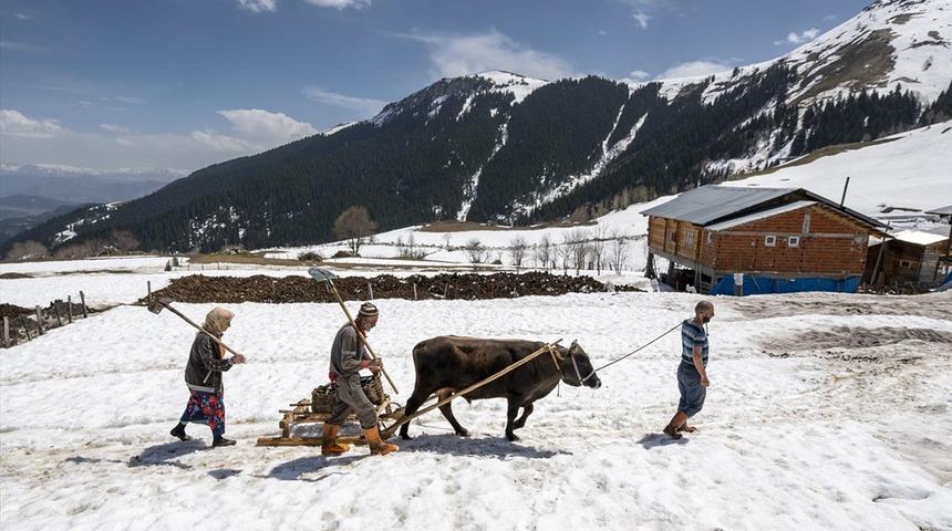 Yurdun birçok bölümünde sıcak hava hakim! Onlar kar altındaki köyde baharı bekliyor