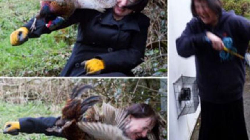 &Ouml;fkeli s&uuml;l&uuml;n&uuml;n saldırısına uğradı!