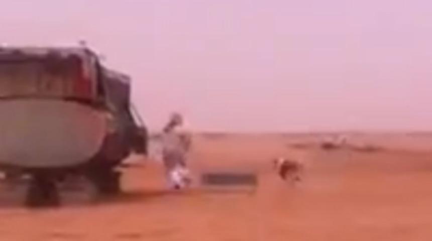 K&ouml;pek tuvaletini yapan adama saldırdı