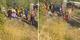 Pamukova'da feci kaza! Üniversitelileri taşıyan midibüs şarampole devrildi; 12 yaralı