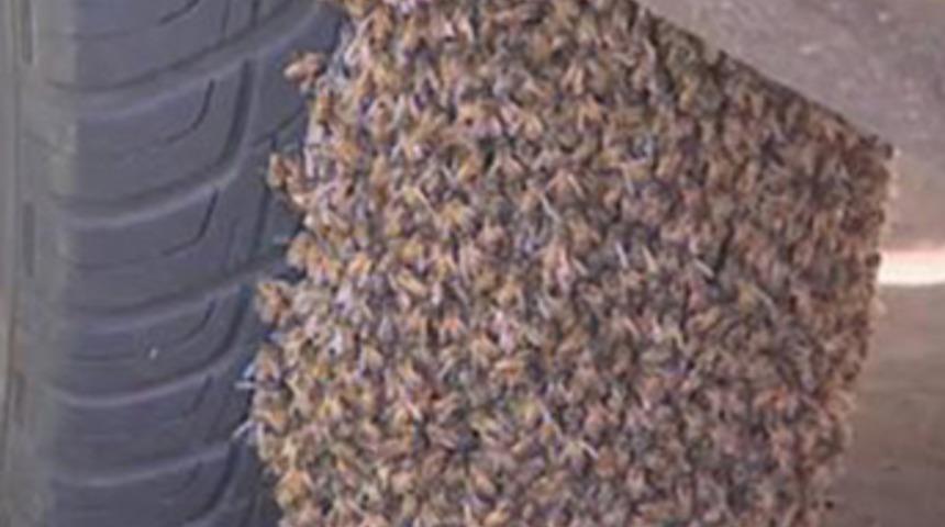 Arabasını g&ouml;r&uuml;nce şok ge&ccedil;irdi