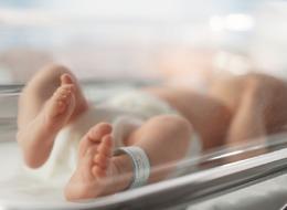 Vurgunun adı bu kez 'yenidoğan'! SGK'ya akılalmaz tezgah... Doktor ve hemşireler gözaltında! 