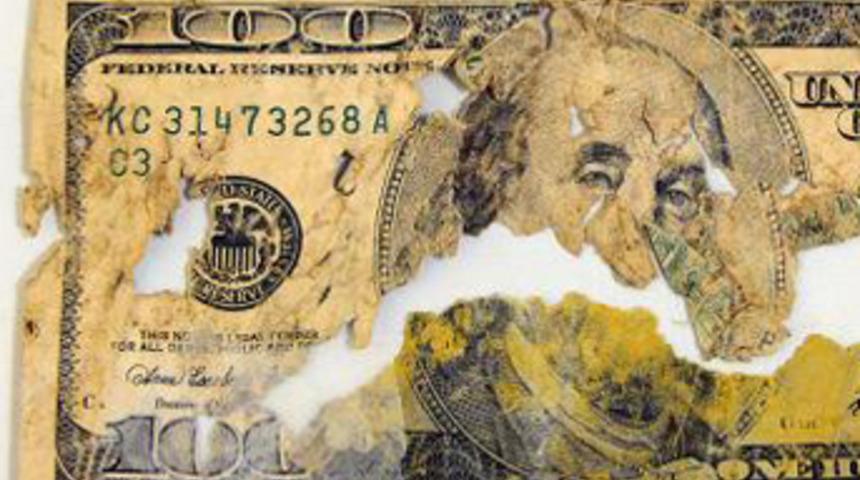 K&ouml;peğinin yediği parayı devletten istedi