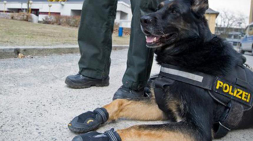 Polis köpeklerine pabuç