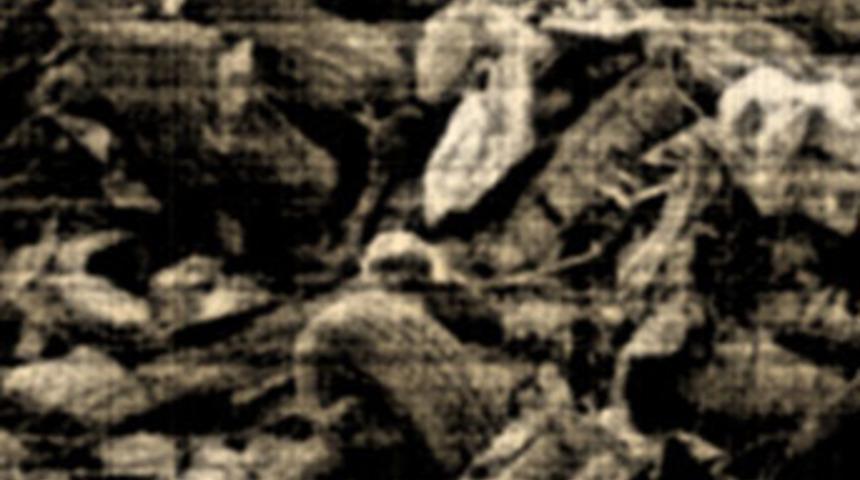 Depremi &ouml;nceden bildiği ortaya &ccedil;ıktı!