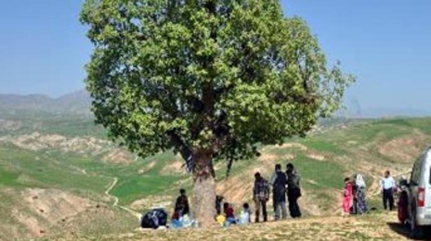 Cudi Dağı'nda piknik