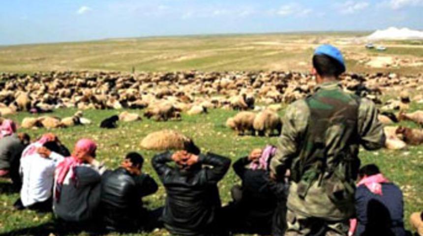 Sınırda hayvan kaçakçılığı: 84 gözaltı