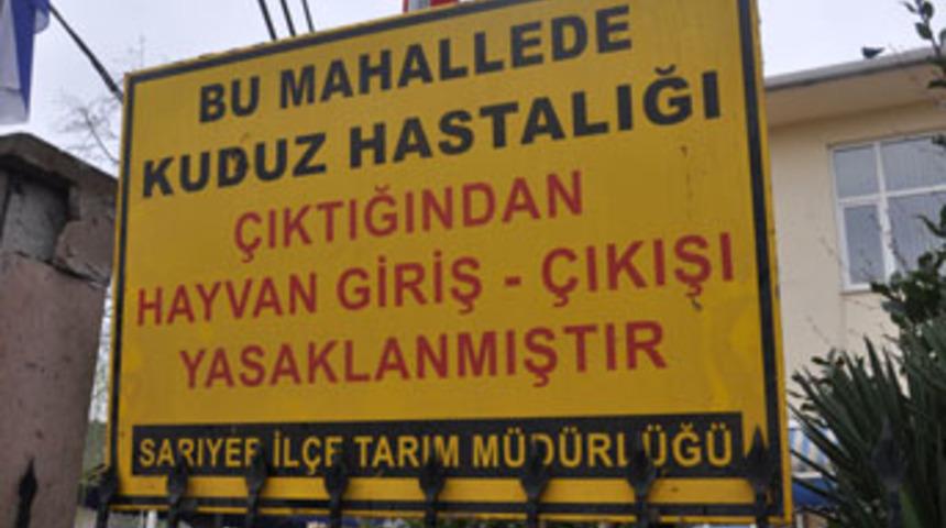 Kuduz vakası görülen köy karantinaya alındı