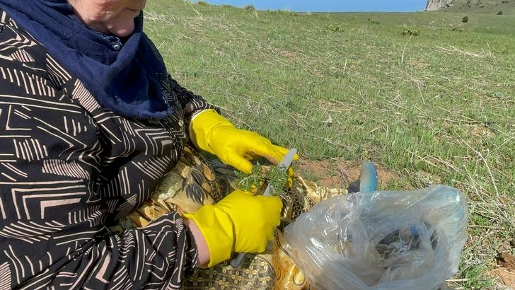 Şifa deposu: Çiğ bile yeniyor, dağlarda kendiliğinden yetişiyor! İşte saymakla bitmeyen faydaları G4