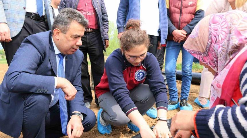 Özel bireyler ve aileleri kolları sıvadı, serada çilek üretimine başladı
