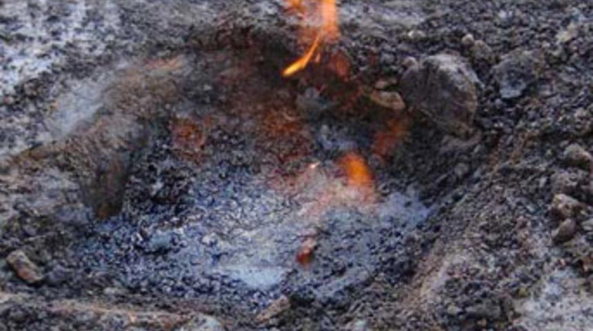 Bitlisliler sevince boğuldu