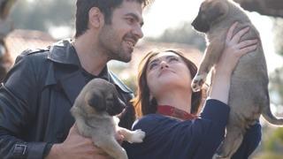 Rüzgârlı Tepe dizisinin sezon final tarihi belli oldu!