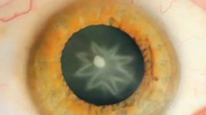 Bir bakan bir daha bakıyor!