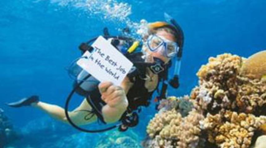 D&uuml;nyanın en iyi işine rekor başvuru