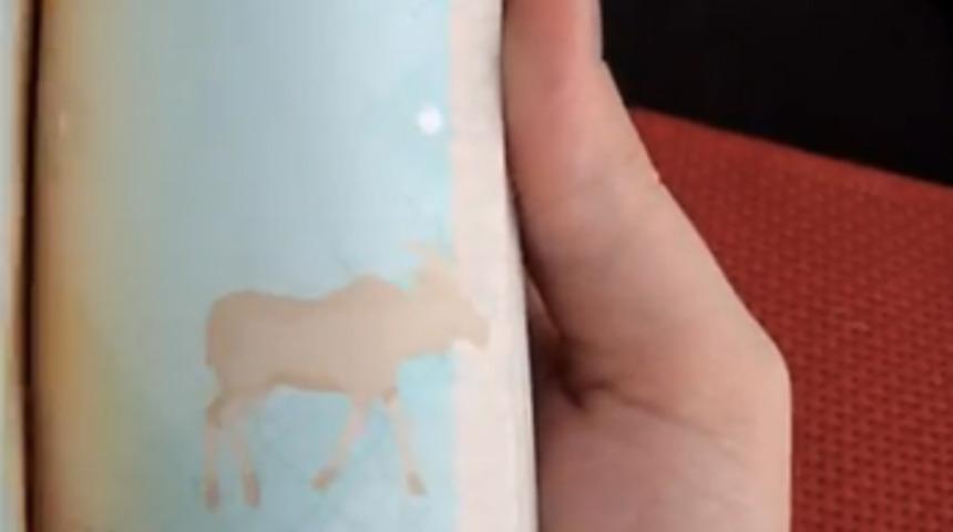 D&uuml;nya bu pasaportu konuşuyor!