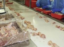 Son dakika! Beklenen oldu, bakanlık duyurdu: Tavuk eti ihracatına sınırlama getirildi