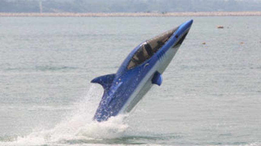 Bu köpekbalığı ısırmıyor!