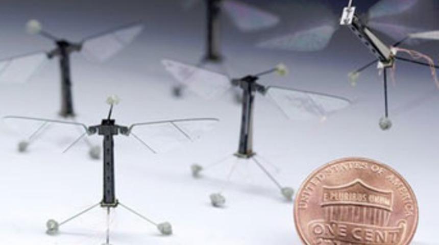 Bozuk para b&uuml;y&uuml;kl&uuml;ğ&uuml;nde robot arı