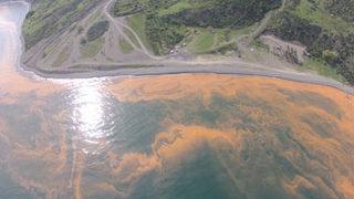 Marmara Denizi’nde korkutan tablo