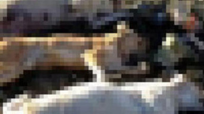 Dondurucuda 30 k&ouml;pek leşi bulundu