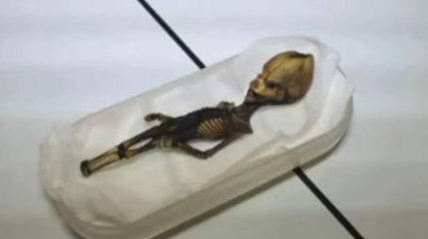 Bilim adamlarını hayrete düşüren iskelet