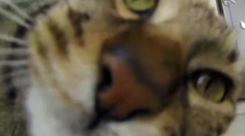 'Seni gördüğüme çok sevindim'