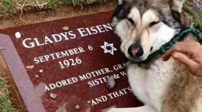 Mezarı başında ağladı