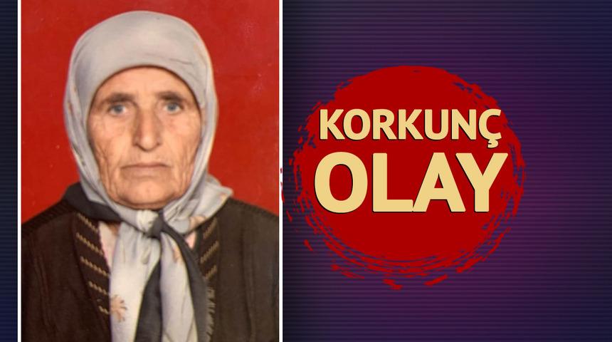 Tarla sahibi buldu... Yaşlı kadının feci ölümü! Sahipsiz köpeklerin saldırısına uğradı