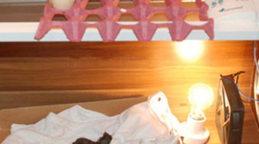 Ahşap komidinden kulu&ccedil;ka makinesi yaptılar